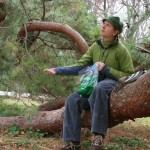 Woman Sitting On A Tree In Patterson Park
