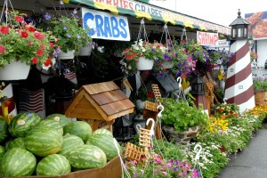 Towson Fall Outdoor Market