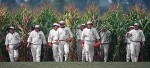 Early 20th Century ballplayers return in Field of Dreams Ray built the ballpark only because he listened to 'the voice'