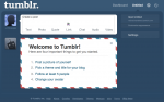 The start page of a new Tumblr account Tumblr offers a few easy steps to a great media-rich website